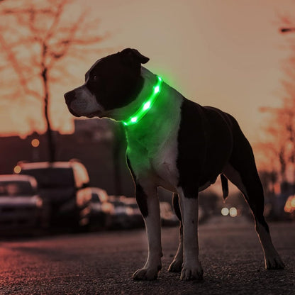 Waterproof LED Dog Collar with AirTag Holder